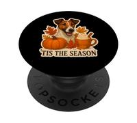 Tis The Season Chien Fox Terrier Automne Automne Citrouille PopSockets PopGrip Adhésif