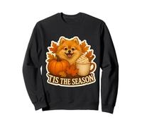 Tis The Season Chien Poméranie Automne Automne Citrouille Épice Mignon Sweatshirt