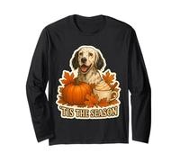 Tis The Season Chien Setter Anglais Automne Automne Citrouille Épice Manche Longue