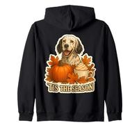 Tis The Season Chien Setter Anglais Automne Automne Citrouille Épice Sweat à Capuche