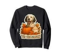 Tis The Season Chien Setter Anglais Automne Automne Citrouille Épice Sweatshirt