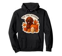 Tis The Season Chien Setter Irlandais Automne Automne Citrouille Épices Sweat à Capuche