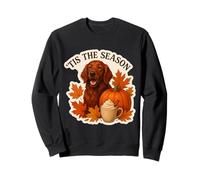 Tis The Season Chien Setter Irlandais Automne Automne Citrouille Épices Sweatshirt