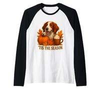 Tis The Season Chien Setter Irlandais Rouge et Blanc Automne Manche Raglan