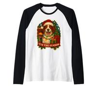 Tis The Season Chien Setter Irlandais Rouge et Blanc Noël Manche Raglan
