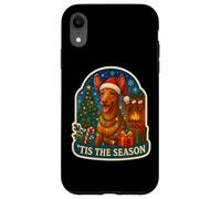 Tis The Season Cirnecho dell'Etna Chien Noël Maman Papa Noël Coque pour iPhone XR