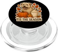 Tis The Season Glen of Imaal Terrier Chien Automne Citrouille PopSockets PopGrip pour MagSafe