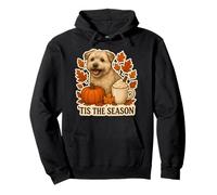 Tis The Season Glen of Imaal Terrier Chien Automne Citrouille Sweat à Capuche