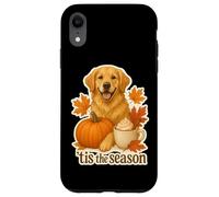 Tis The Season Golden Retriever Chien Automne Automne Citrouille Mignon Coque pour iPhone XR