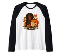 Tis The Season Gordon Setter Dog Automne Automne Citrouille Épice Manche Raglan