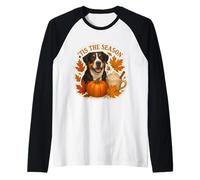 Tis The Season Great Swiss Mountain Dog Automne Citrouille Manche Raglan