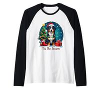 Tis The Season Great Swiss Mountain Dog Merry Christmas Manche Raglan