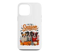 Tis The Season Halloween Border Collie Pumpkin Costume Coque pour iPhone 13 Pro Max