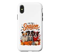 Tis The Season Halloween Border Collie Pumpkin Costume Coque pour iPhone X/XS