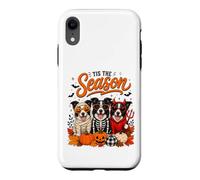 Tis The Season Halloween Border Collie Pumpkin Costume Coque pour iPhone XR