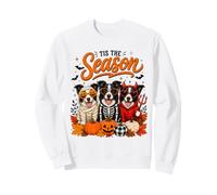 Tis The Season Halloween Border Collie Pumpkin Costume Sweatshirt
