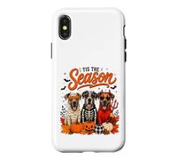 Tis The Season Halloween Great Dane Pumpkin Costume Coque pour iPhone X/XS