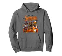 Tis The Season Halloween Great Dane Pumpkin Costume Sweat à Capuche