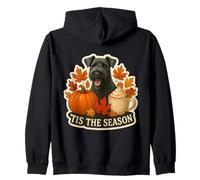 Tis The Season Kerry Blue Terrier Chien Automne Automne Citrouille Sweat à Capuche