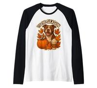 Tis The Season Pit Bull Dog Automne Automne Citrouille Épices Latte Manche Raglan