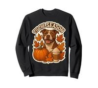 Tis The Season Pit Bull Dog Automne Automne Citrouille Épices Latte Sweatshirt