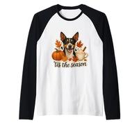 Tis The Season Rat Terrier Tasse à épices en Forme de Citrouille d'automne Manche Raglan