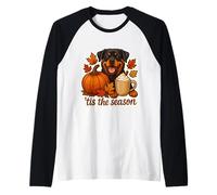 Tis The Season Rottweiler Chien Automne Automne Citrouille Épices Chiot Manche Raglan