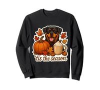 Tis The Season Rottweiler Chien Automne Automne Citrouille Épices Chiot Sweatshirt