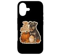 Tis The Season Standard Schnauzer Automne Citrouille Coque pour iPhone 17