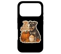 Tis The Season Standard Schnauzer Automne Citrouille Coque pour iPhone 17 Pro