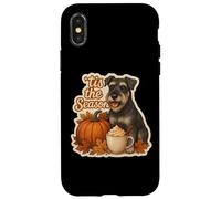 Tis The Season Standard Schnauzer Automne Citrouille Coque pour iPhone X/XS
