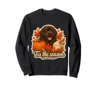 Tis The Season Terre-Neuve Chien Automne Automne Citrouille Épice Sweatshirt