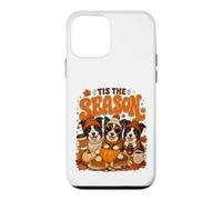 Tis The Season Thanksgiving Border Collie Pumpkin Costume Coque pour iPhone 12 Mini