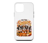 Tis The Season Thanksgiving Border Collie Pumpkin Costume Coque pour iPhone 12 Mini