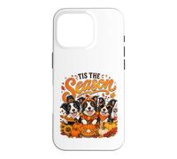 Tis The Season Thanksgiving Border Collie Pumpkin Costume Coque pour iPhone 16 Pro