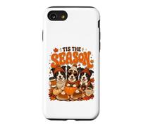 Tis The Season Thanksgiving Border Collie Pumpkin Costume Coque pour iPhone SE (2020) / 7/8