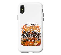 Tis The Season Thanksgiving Border Collie Pumpkin Costume Coque pour iPhone X/XS