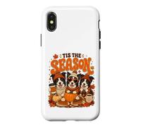 Tis The Season Thanksgiving Border Collie Pumpkin Costume Coque pour iPhone X/XS