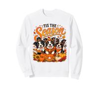 Tis The Season Thanksgiving Border Collie Pumpkin Costume Sweatshirt