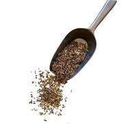 Tisane Angelique racine Angelica archangelica