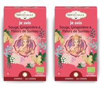 Tisane Bio Je Suis Gamme Chakra - Énergétiques Naturelles pour Équilibre et Bien-Être - Moment de Détente et de Stabilité - Thé Bio Matinale (Lot de 2)