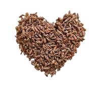 Tisane Bourgeon de PIN extra 100 GRS ENTIER Pinus sylvestris.