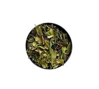 Tisane Busserole (Raisin d''ours) feuille ENTIERE Uva ursi