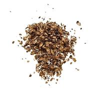 Tisane Chicorée racine 100 GRS Cichorium intybus.