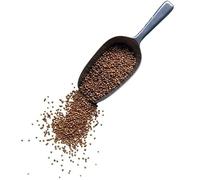 Tisane Coriandre semence ENTIERE 250 GRS Coriandrum sativum