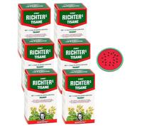 Tisane Ernst Richter Transit - Lot de 6 Bo?tes de 20 Infusions avec 1 Sous-Tasse en Silicone