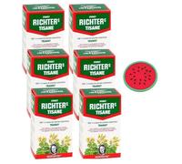 Tisane Ernst Richter Transit - Lot de 6 Boîtes de 20 Infusions avec 1 Sous-Tasse en Silicone