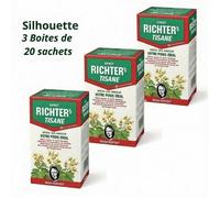 Tisane Ernst Richter's Transit & Minceur : Pack de 3 Boîtes pour une Digestion Naturelle et une Silhouette Affinée (60 Sachets).