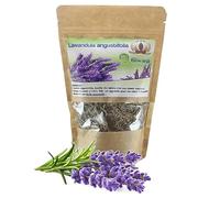Tisane Lavande - Lavandula Angustifolia - Récoltée au Sud de l'Algérie - Sèche Sac 50 Gr