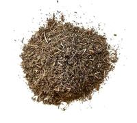 Tisane Menthe pouliot feuille 1 KILO Mentha pulegium.